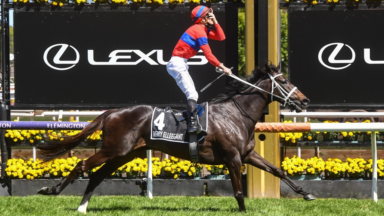 Retirement for Melbourne Cup hero Verry Elleegant, who ... Image 1